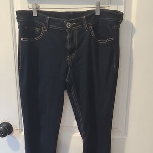 Jordache Dark Wash Skinny Jeans